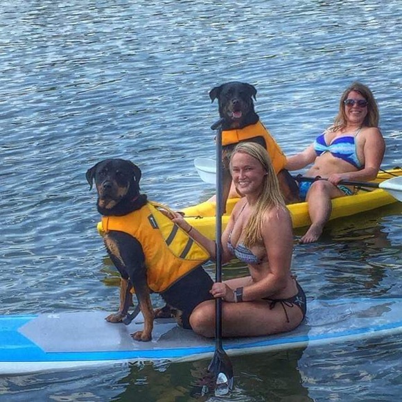 Meet your Posher, Brielle - Picture 2 of 5